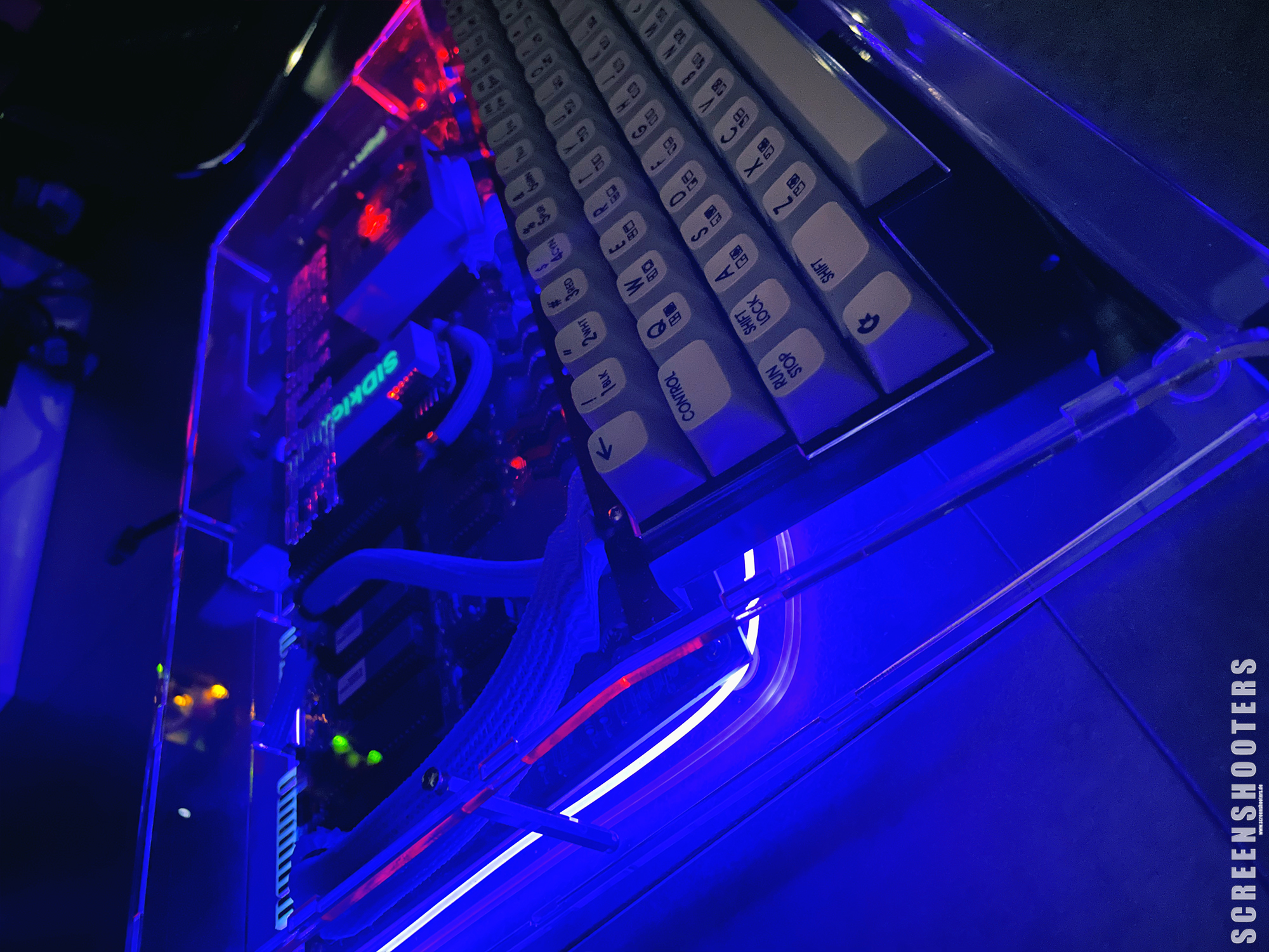 C64-224_BluePearl_23.jpg